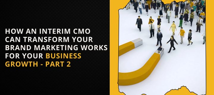 How an Interim CMO Can Transform Your Brand Marketing – Part 2